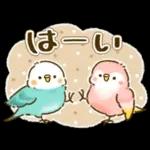 敬語が話せる！もふもふインコ