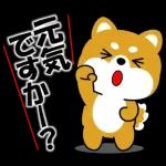 大事なお知らせがありまーす♪