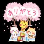 春の飛び出す！にゃーにゃー団_-