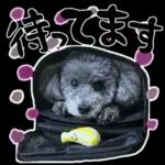 大人かわいい日常メッセージ?