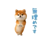 🧸「可愛い」だけじゃ	足りない！💕