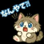 ゆるっと関西弁＊ええニャン＊