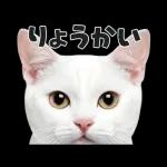 猫の顔がどーん！