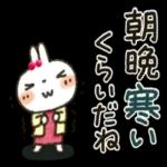 夏～秋「白うさぎさん」日常パック