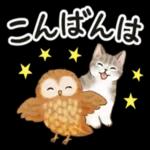  ゆっくり休んで、お大事にして。。。