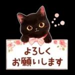 黒猫のつめあわせ♪