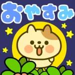 こんばんは