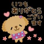 日中は元気いっぱい！