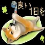さすが！柴犬（よく使う言葉編２）