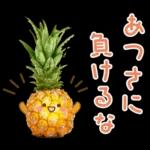 あけまして
おめでとう
ございます
開運
招福