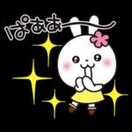 優しい2!!かわいい白うさぎ