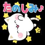 気づかいのできるネコ♪