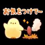 涼しくなってきましたね〜お気をつけて〜