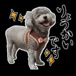 大人かわいい日常メッセージ?