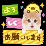 ようこそ　おねがいします