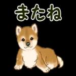 ありがとうございます
ニャータ
SI