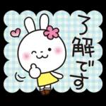 優しい2!!かわいい白うさぎ