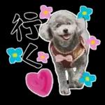 大人かわいい日常メッセージ?