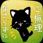 かわいい黒猫ちゃんの一日