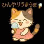 三毛猫の幸せな夏の生活