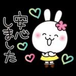 優しい2!!かわいい白うさぎ