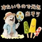 癒しポメラニアンの「夏」の毎日