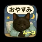 黒猫のムーンちゃん