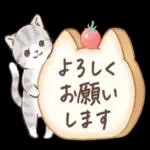 みやち