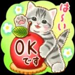 ちっちゃい猫のスタンプ 寧なことば ちっちゃい猫のスタンプ ちっちゃい猫のスタンプ 丁寧なことば 