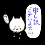 猫さん。梅雨・初夏のやさしいメッセージ