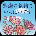 大人の季節のご挨拶・秋