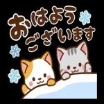 願いが叶いますように！