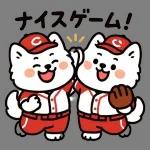 サモエドと一緒にぽかぽか春