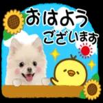 おはよう ます。 ございます