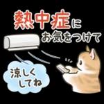 健康は第一です！頑張って