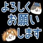 さっと使える使いやすい一言＊