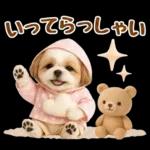 大人可愛いシーズーで梅雨の気づかい敬語