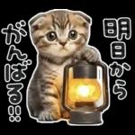 やる気ゼロ♡にゃんこ