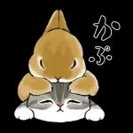 ずっとあなたを守ります😊😊😊