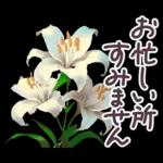 毎日使える お花 敬語✿大人上品お花