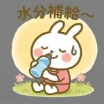 ✨白うさぎさん🐰