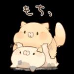 いつも前向きで頑張りや！