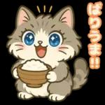 ゆるっと関西弁＊ええニャン＊