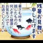 暑中見舞い♡夏のご挨拶♡候文