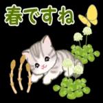 ころころ子猫 春の野原でかくれんぼ