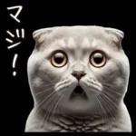 毎日使える気持ちことば集＊