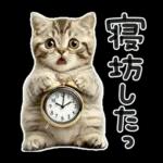 やる気ゼロ♡にゃんこ