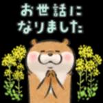 可愛い嘘のカワウソ❤️