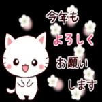 ねこの新年あいさつ🐱