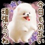 C I D ころ 良かったです